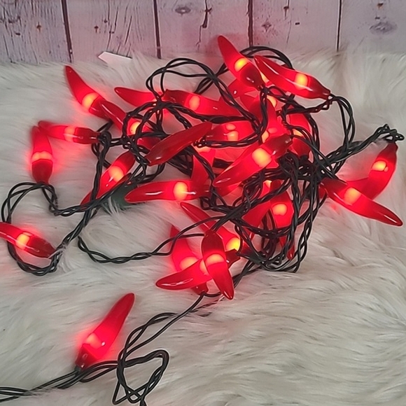 Indoor Outdoor Long 15+ Ft Rubber Chili Pepper Light Up String Lights Plug In - Picture 1 of 11
